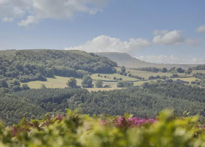 Cornerways, 8 North Lane York