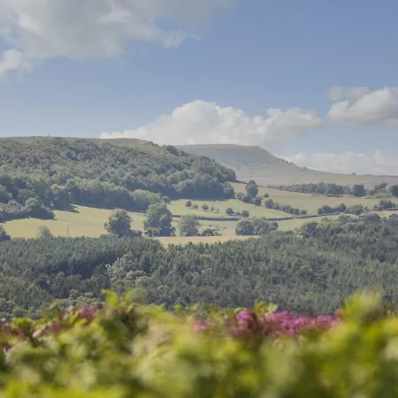 Cornerways, 8 North Lane 요크